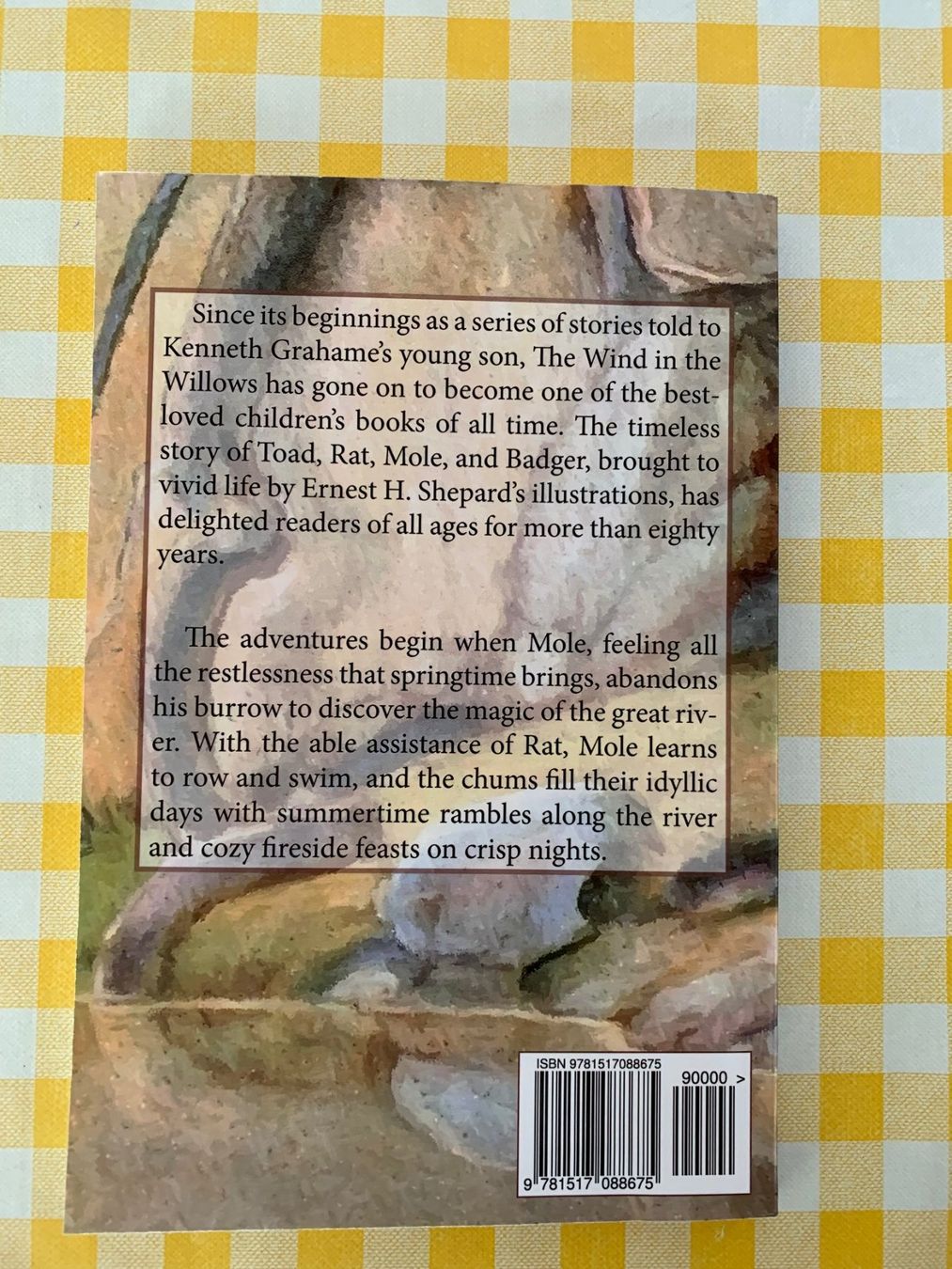 Bücher: The Wind In the Willows von Paul Bransom – Neu (gemäss Beschreibung) aus Zürich von kicconet 2