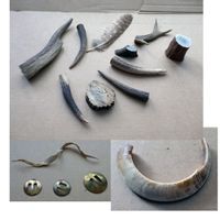 Horn / sonstige Teile zum basteln