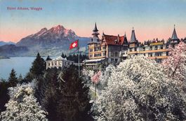 Weggis, Hotel Albana, gelaufen 1915