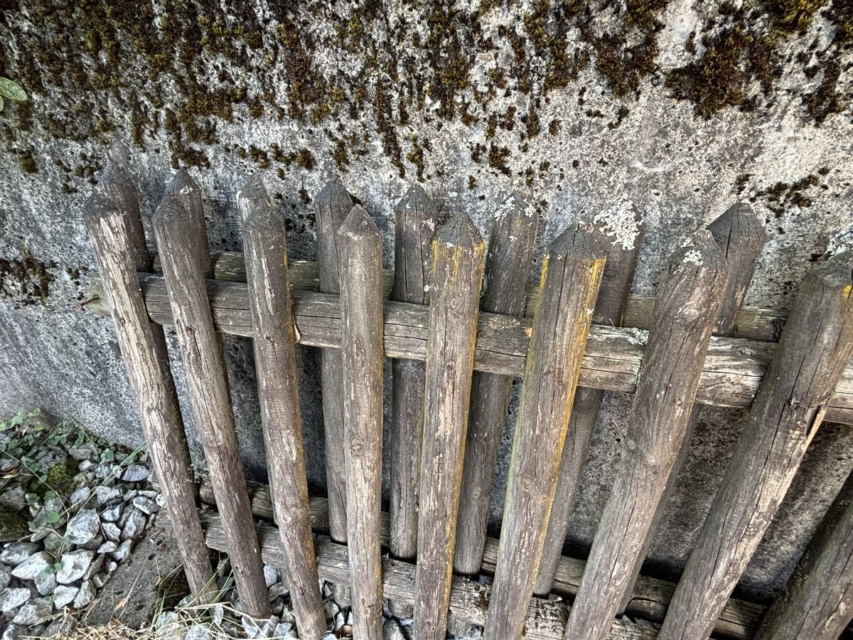 Fendivista: Holz Gartenzaun 4m90cm - 80cm Höhe – Usato da Jona venduto da Sid100 3