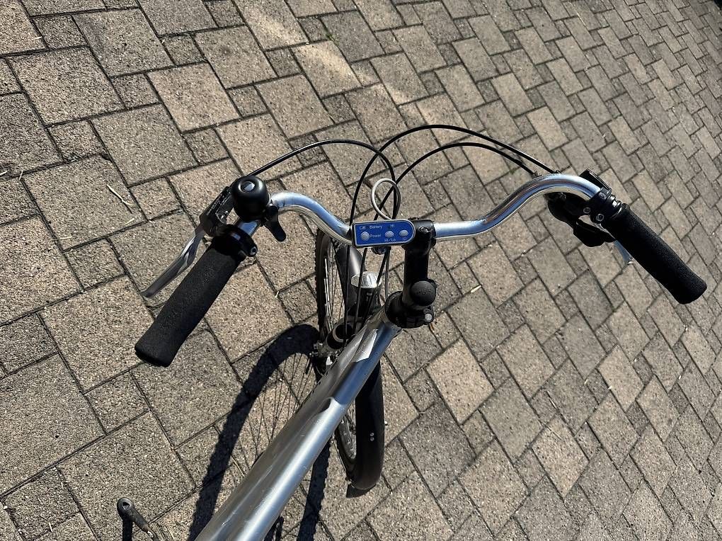 Velos: Flyer E-Bike tiptop – Gebraucht aus Truttikon von menefique 2