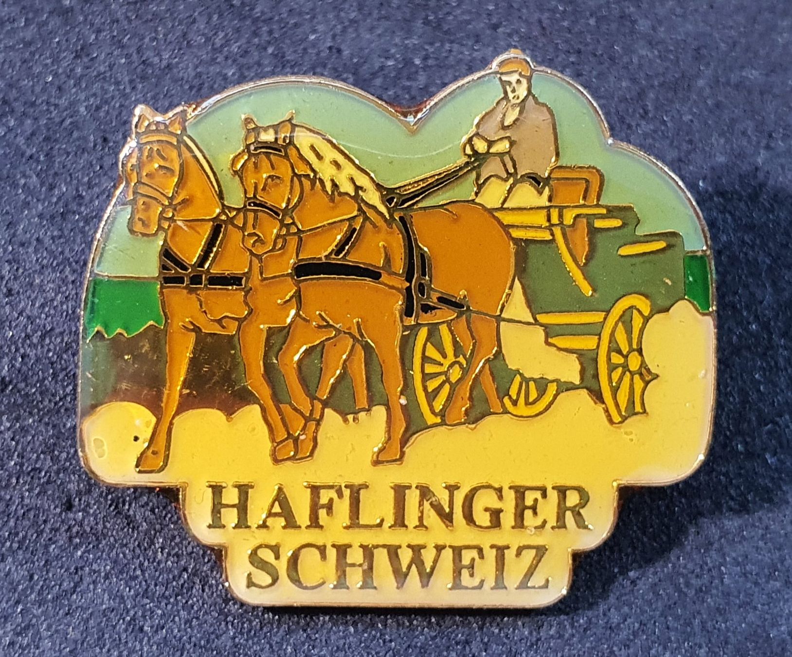 Placchette & Badge: Z006 - Pin Haflinger Schweiz Kutsche Pferde – Usato da Reinach BL venduto da Boston-Verkauf