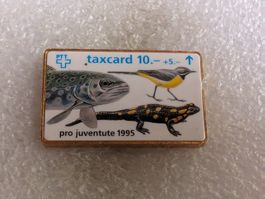 Ansteckpin 160: PTT Taxcard