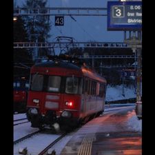 Profile image of DLZ11239