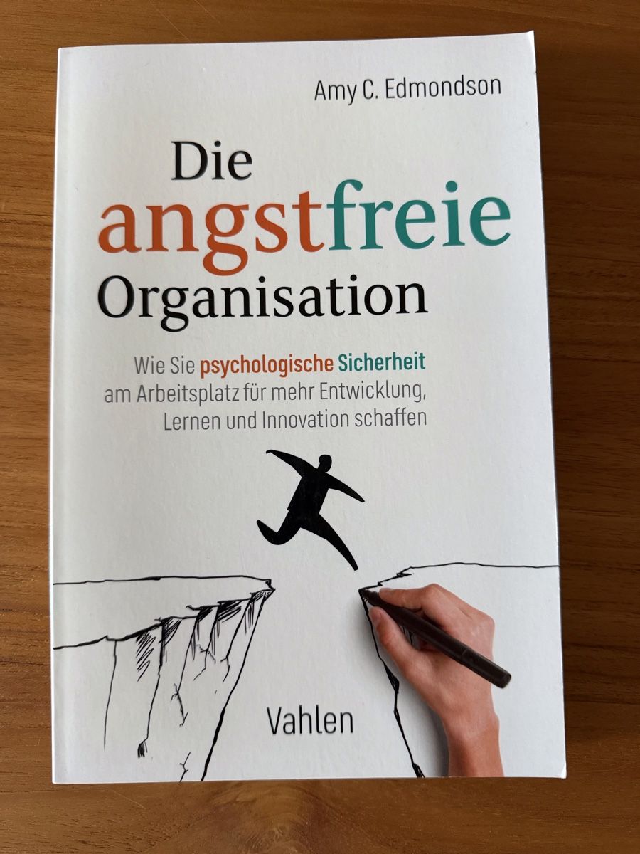 Libri: Die angstfreie Organisation von Amy C. Edmondson – Usato da Bülach venduto da abo_tjt2