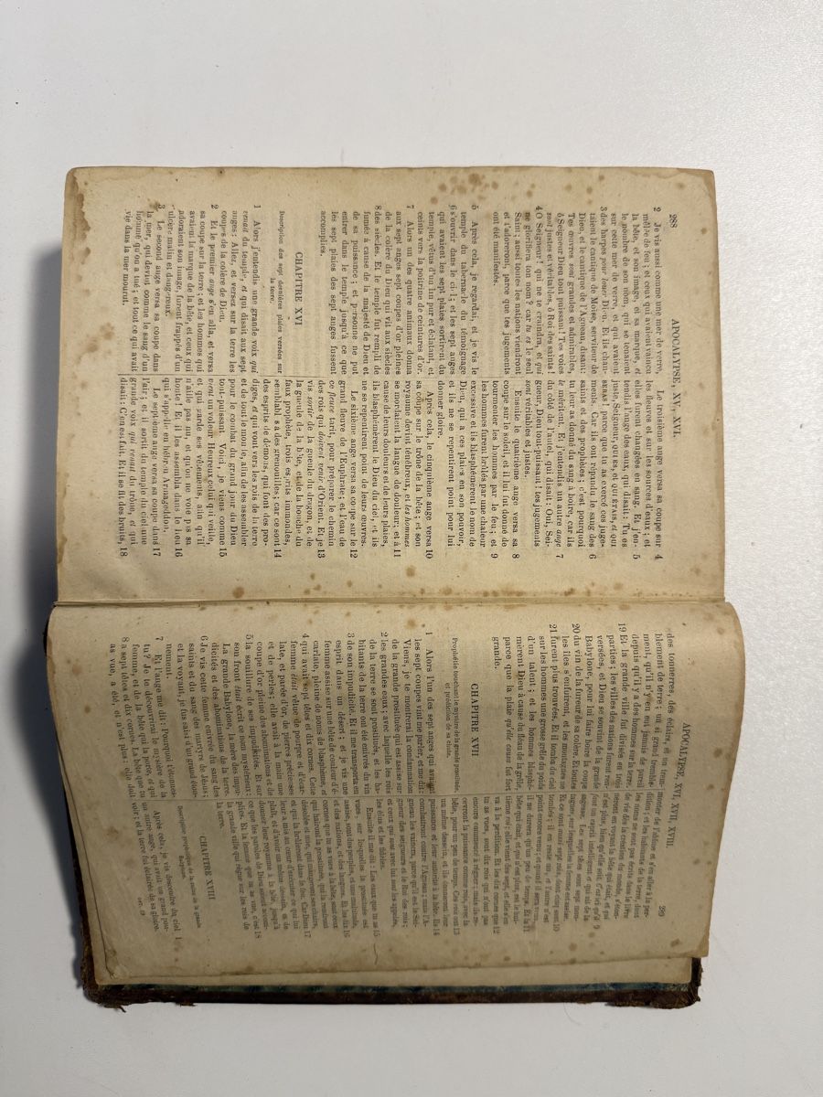 Libri: Sainte Bible - Version Ostervald révisée - Paris 1891 – Usato da Ardon venduto da Momovs99 5