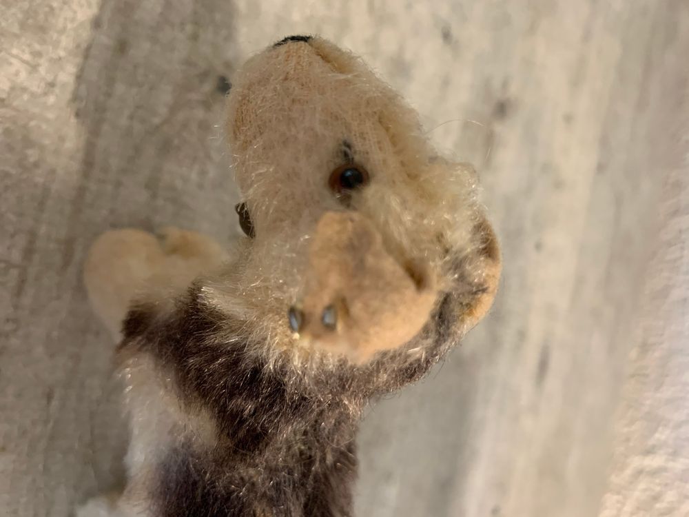 Kleiner Steiff Terrier mit Knopf im Ohr | Kaufen auf Ricardo