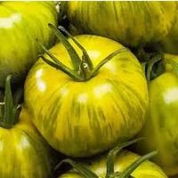 TOMATE Smarald  / 5 Samen