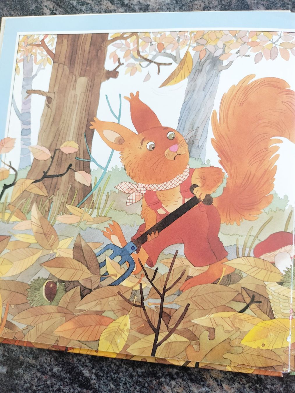 Libri: Pirouette L'Ecureuil dès 3 ans – Usato da Cortaillod venduto da rozinna 6