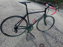 Rennrad Daccordi Carbon/Alu schwarz rot guter Zustand