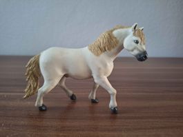 Camargue Hengst Safari ltd. Antiquariat