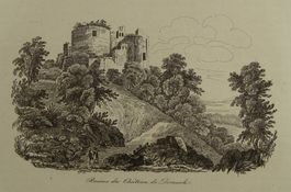 SCHLOSS DORNACH, STAHLSTICH 1836