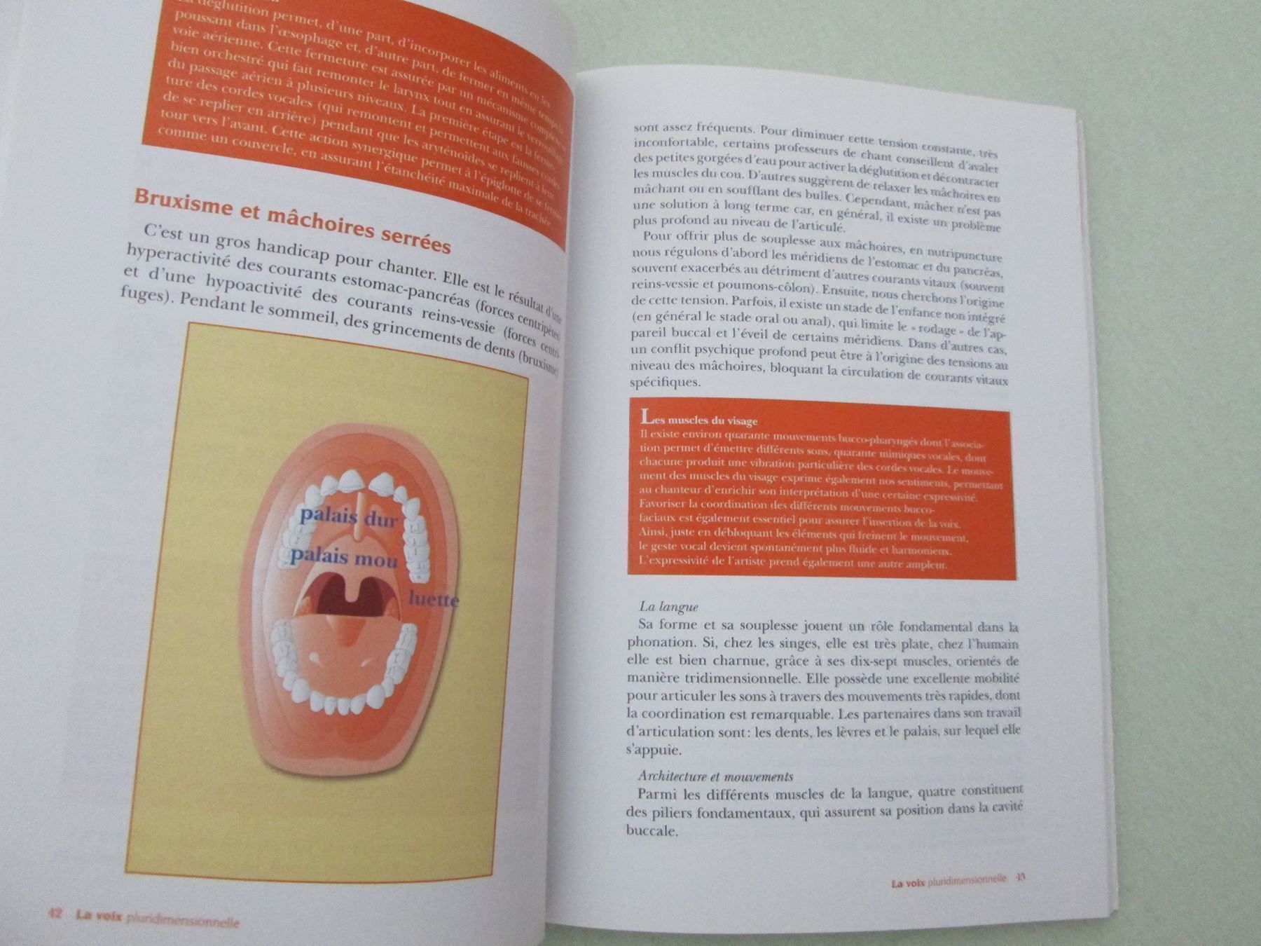 Libri: La voix pluridimensionnelle – Usato da Neuchâtel venduto da Dualseele 5