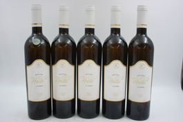 5x Selection Heida Le Zéphir (26100261Z)