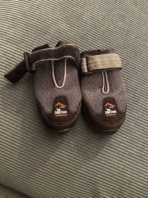 Abbigliamento: Hundeschuhe DogsCreek – Usato da Niederrohrdorf venduto da nat_p7qz
