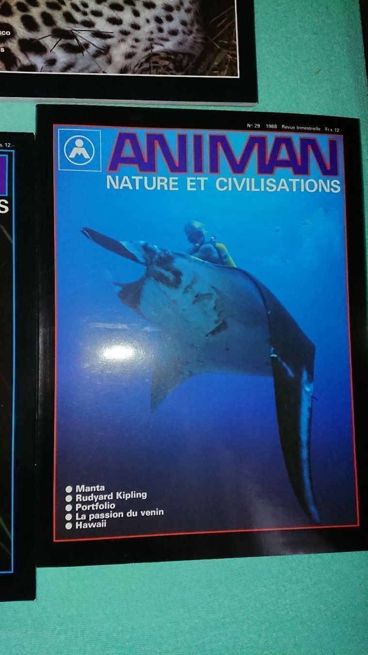 Riviste & Magazine: Animan / 7 Magazines – Usato da Cortaillod venduto da signep 4