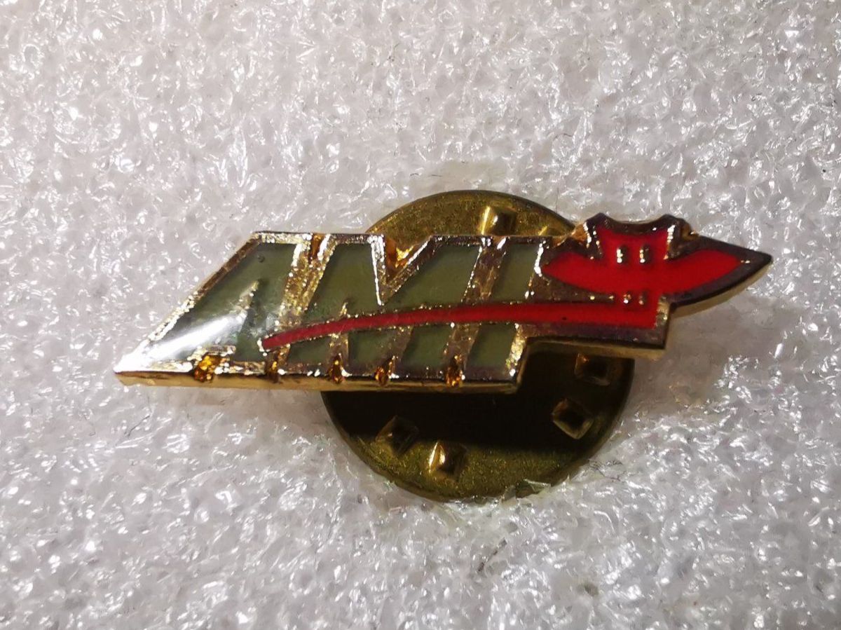 Placchette & Badge: Ansteckpin 14: Ami – Usato da Oppligen venduto da Pin-Fall-Shop