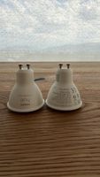 Philips Hue White Ambiance Spots