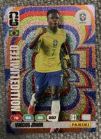 Panini Sammelkarte Vinicius Junior Limited Edition neuwertig