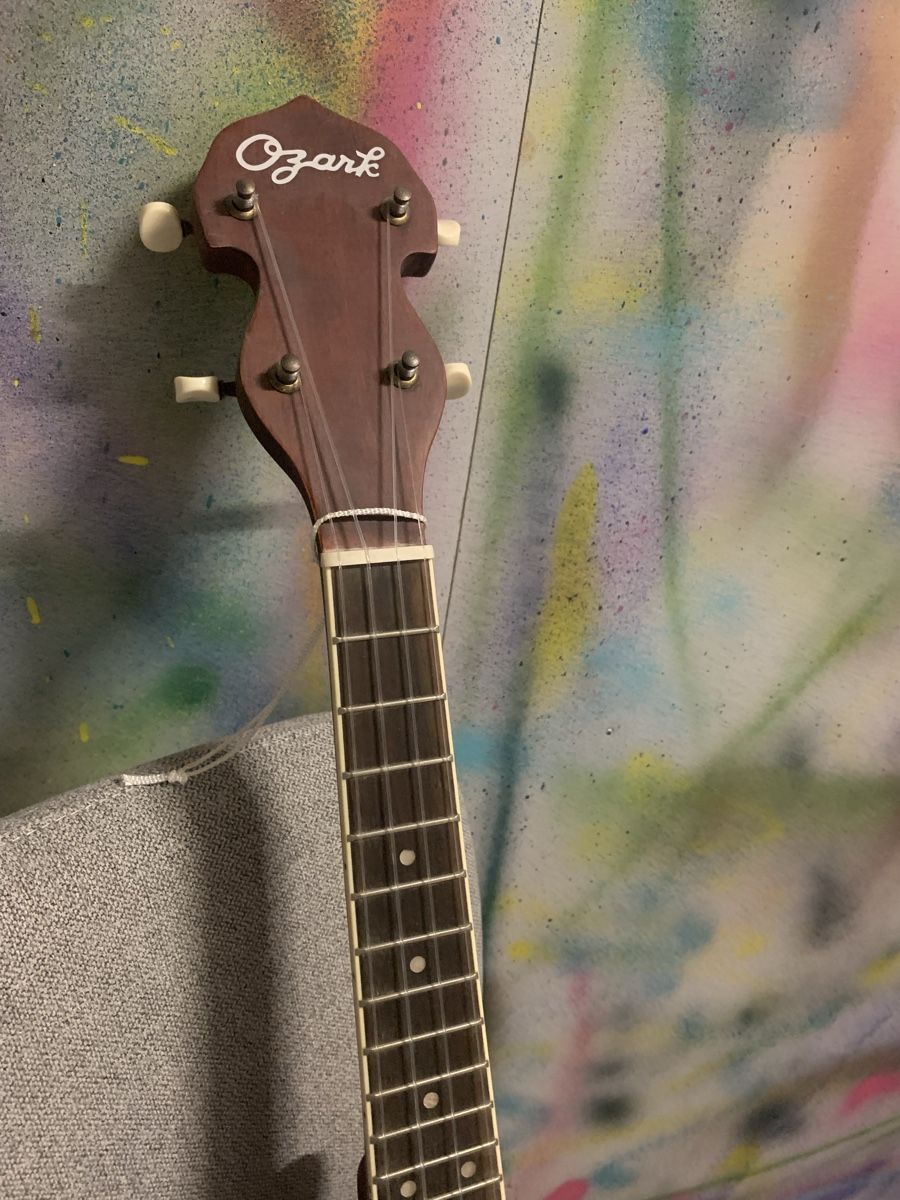 Strumenti musicali: Banjolele, Banjo, Ukulele – Usato da zürich venduto da fioannaho 2
