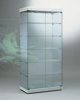 Glasvitrine, ESG Glas, Silber, LED (B.93cmxT.52cmxH.200cm)