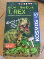 Kosmos T-Rex Ausgrabung Leuchten Neu
