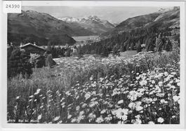 Bei St. Moritz im Frühling Printemps