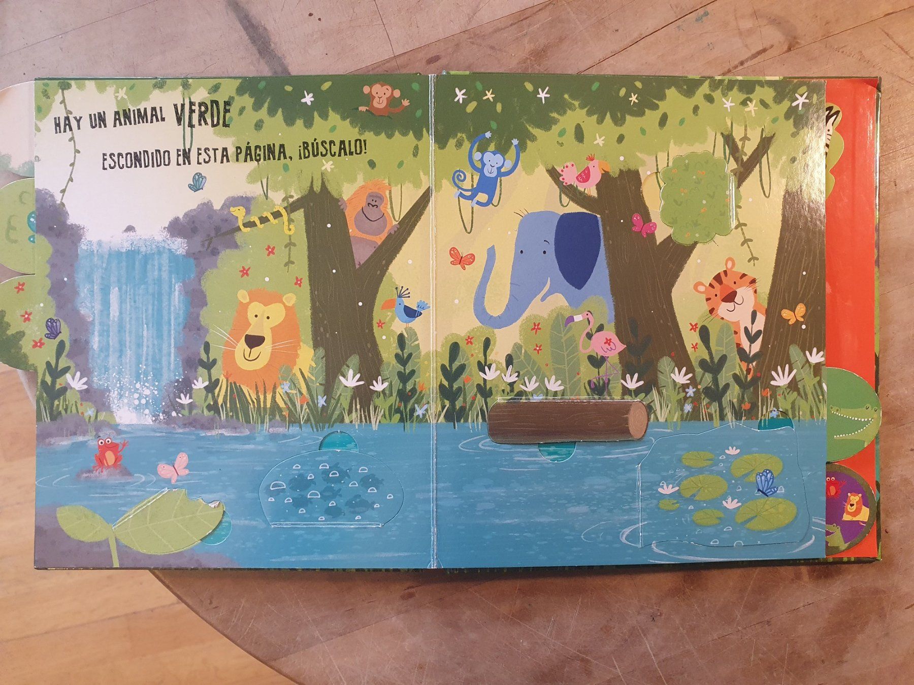 Livres: Asomate a la Selva - Spanisch – D'occasion à Zürich par loosebone 2