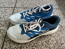 Salomon Alphaglide Rennschuhe