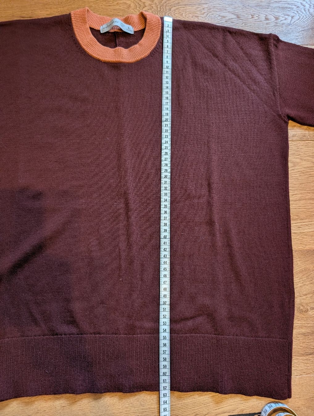 Icebreaker Pullover & Sweatshirts: Icebreaker Pullover L, Damen Merino Wolle – Gebraucht aus Walenstadt von Dorinka 4