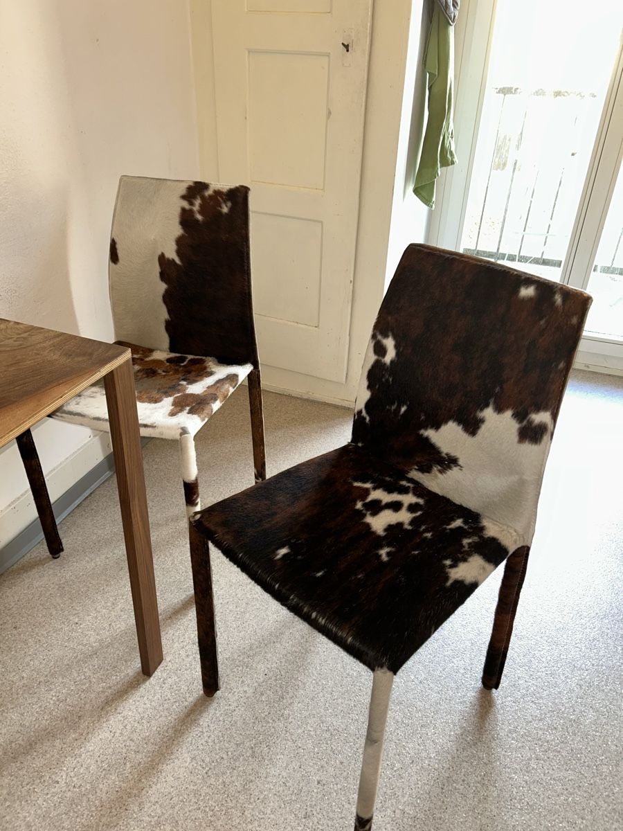 Chaises: 4 Stühle – D'occasion à Zürich par xenia.walser 1