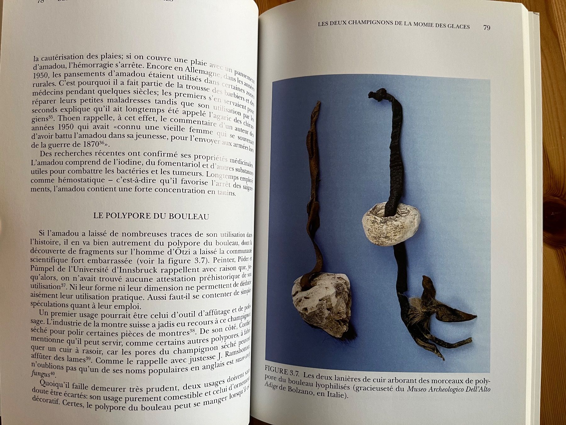 Libri: Des champignons et des hommes – Nuovo (secondo la descrizione) da Zürich venduto da Gurkis 4