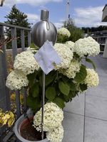 Garten Fackel Edelstahl Neu