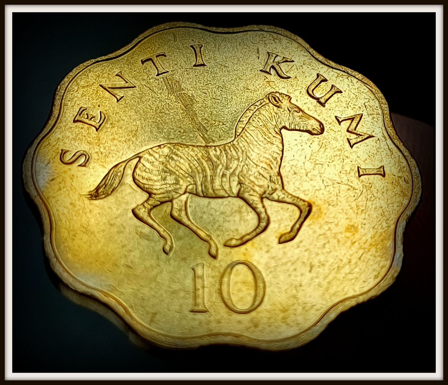 Tutti le monete: TANSANIEN 10 SENTI 1984 UNZ. – Nuovo (secondo la descrizione) da winterthur venduto da CoinPassion