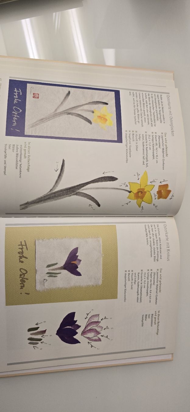Libri: japanische Blumen- und Tuschmalerei – Usato da Ostermundigen venduto da Velora 7