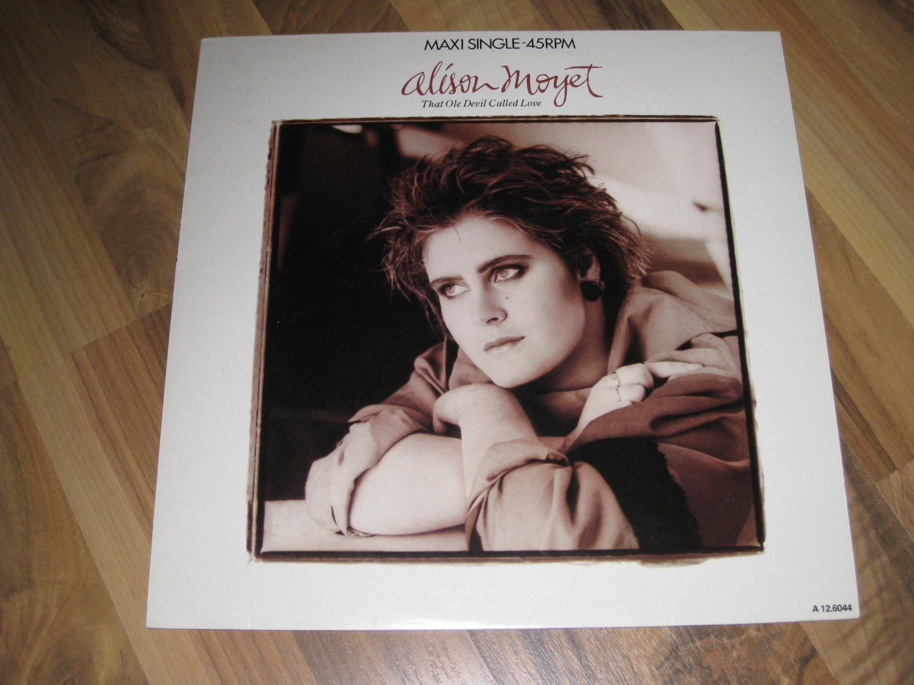 Dischi in vinile: MAXI - ALISON MOYET - THAT OLE DEVIL CALLED LOVE – Usato da Steckborn venduto da Quo7
