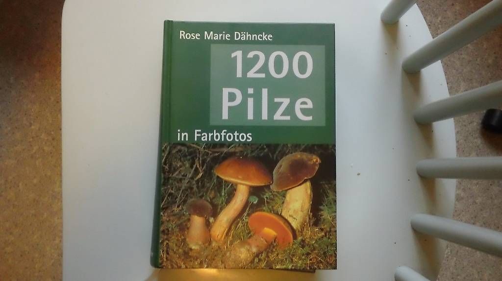 Libri: Pilzbuch – Usato da Luzern venduto da Rolkos