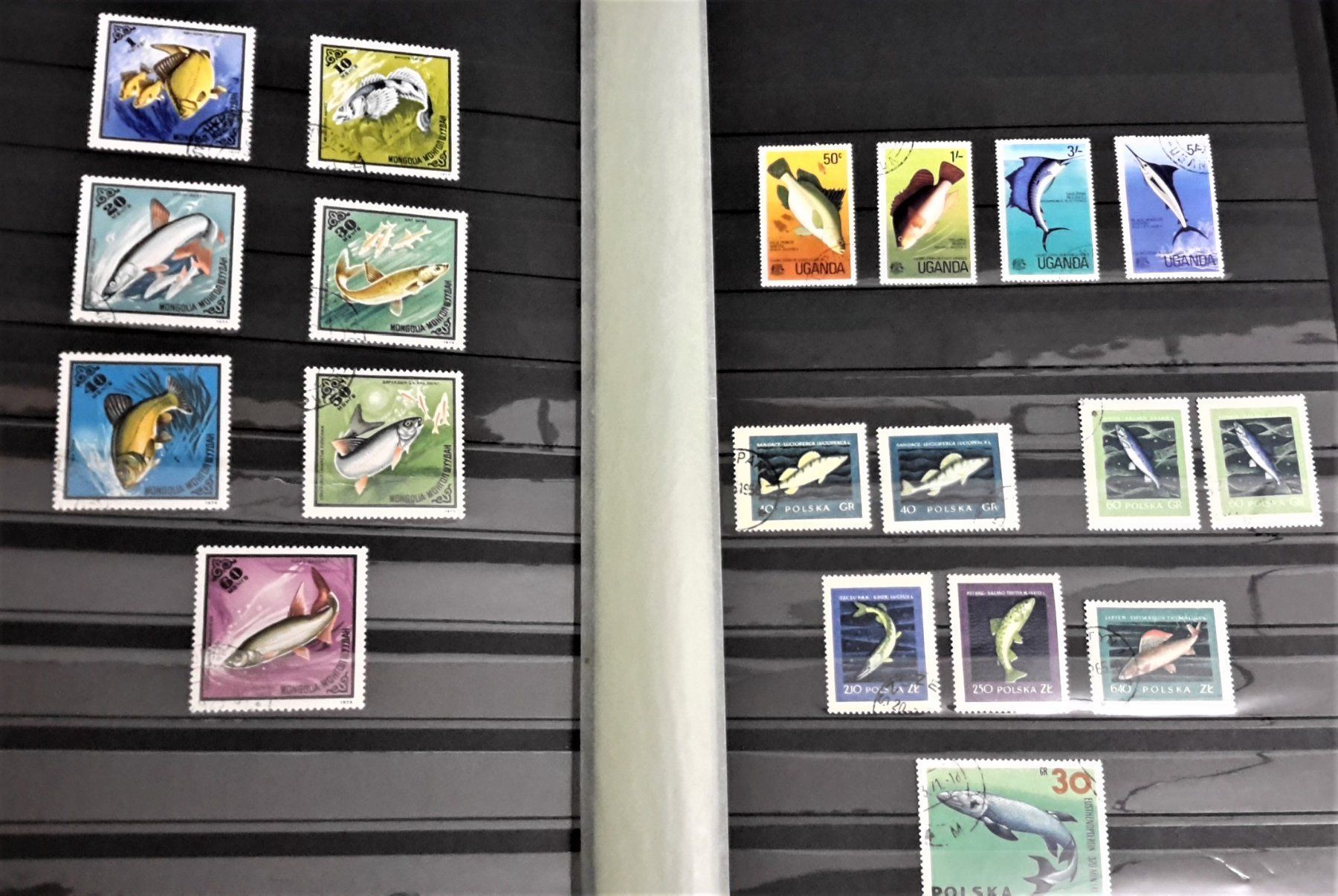 Alle Briefmarken: Internationale Briefmarken THEMA-Sammlung  "FISCHE DER WELT" – Neu (gemäss Beschreibung) aus Zug von Aeschroot 3