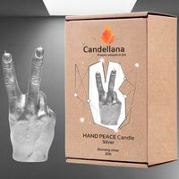 ✌️🕯️Einzigartiges Friedenssymbol in Silber! Must-Have!🕯️✌️