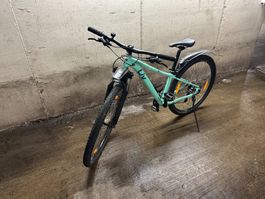 Liv Mountainbike Tempt 29