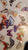 Sommerliche Schmetterlinge Sticker - Neu und wunderschön!