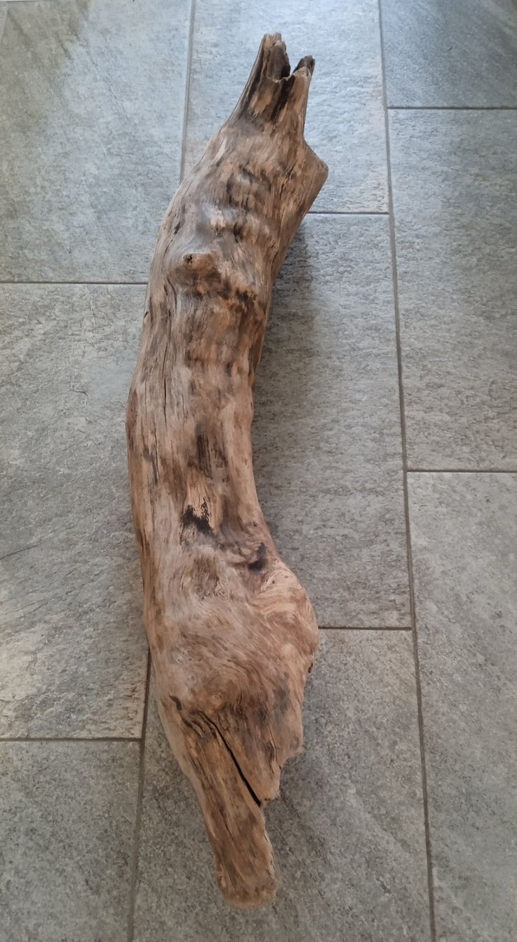 Articoli in legno: Schwemmholz – Nuovo e nell'imballaggio originale da Widnau venduto da ForViolin