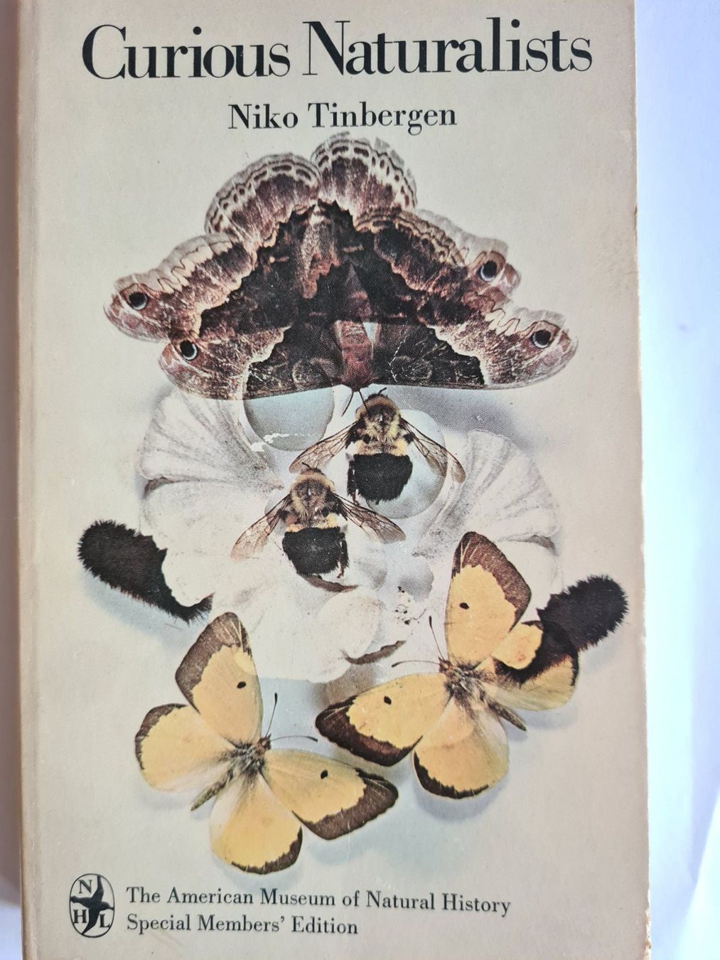 Libri: Niko Tinbergen "Curious naturalists" – Usato da Zürich venduto da pleco12
