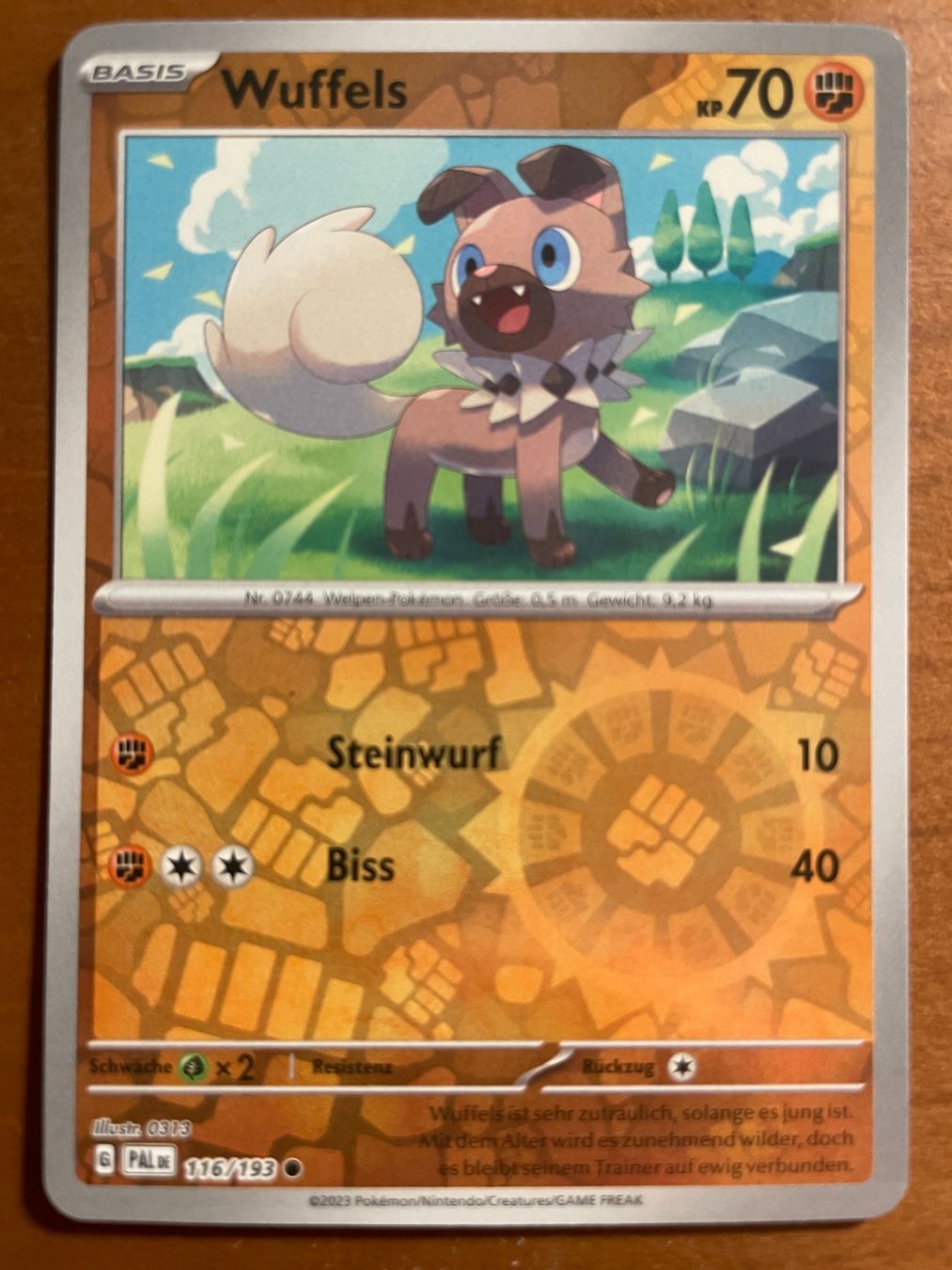 Pokémon Cartes à collectionner: Pokemon Wuffels Reverse (Versand gratis) – Neuf (Voir description) à Chur par Angerson