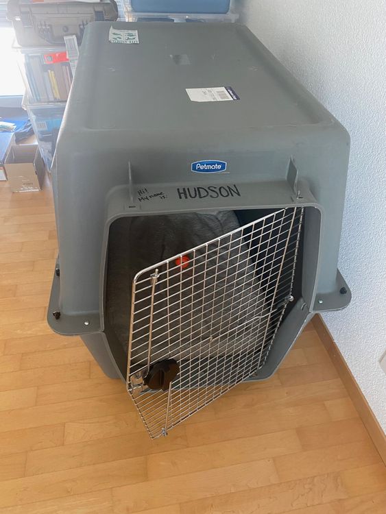 Petmate® Sky Kennel® for large dog 121L x 81W x 88H Kaufen auf Ricardo