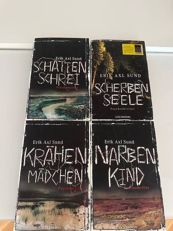 Libri: Erik Axl Sund Thriller-Set – Usato da Dietikon venduto da Julia.obers