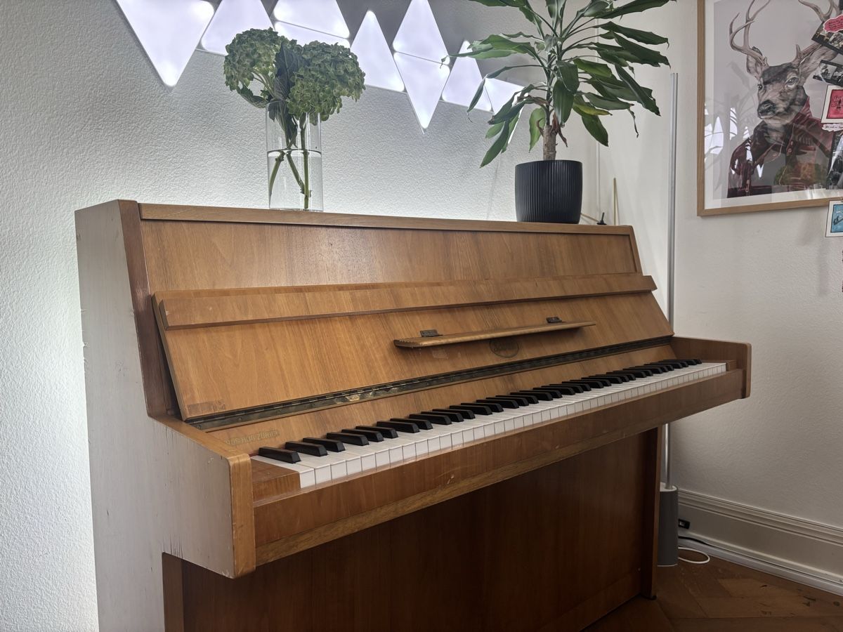 Strumenti musicali: Salbei Upright Piano – Usato da Zollikon venduto da ric_mk5n 5