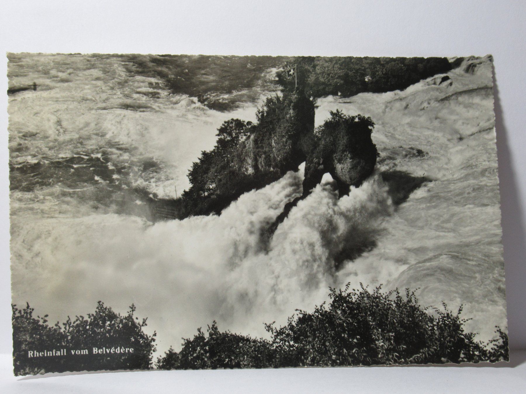 Cartes postales: Rheinfall vom Belvédère – Neuf (Voir description) à Grenchen par Bluemchen1900