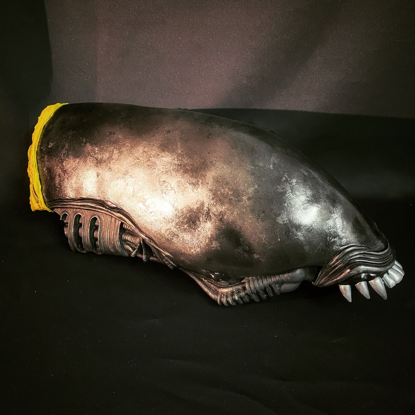 Statuette: Lebensgrosser Alien Kopf, Giger, Not Sideshow, Predator – Nuovo (secondo la descrizione) da Glattfelden venduto da Ak_5bL