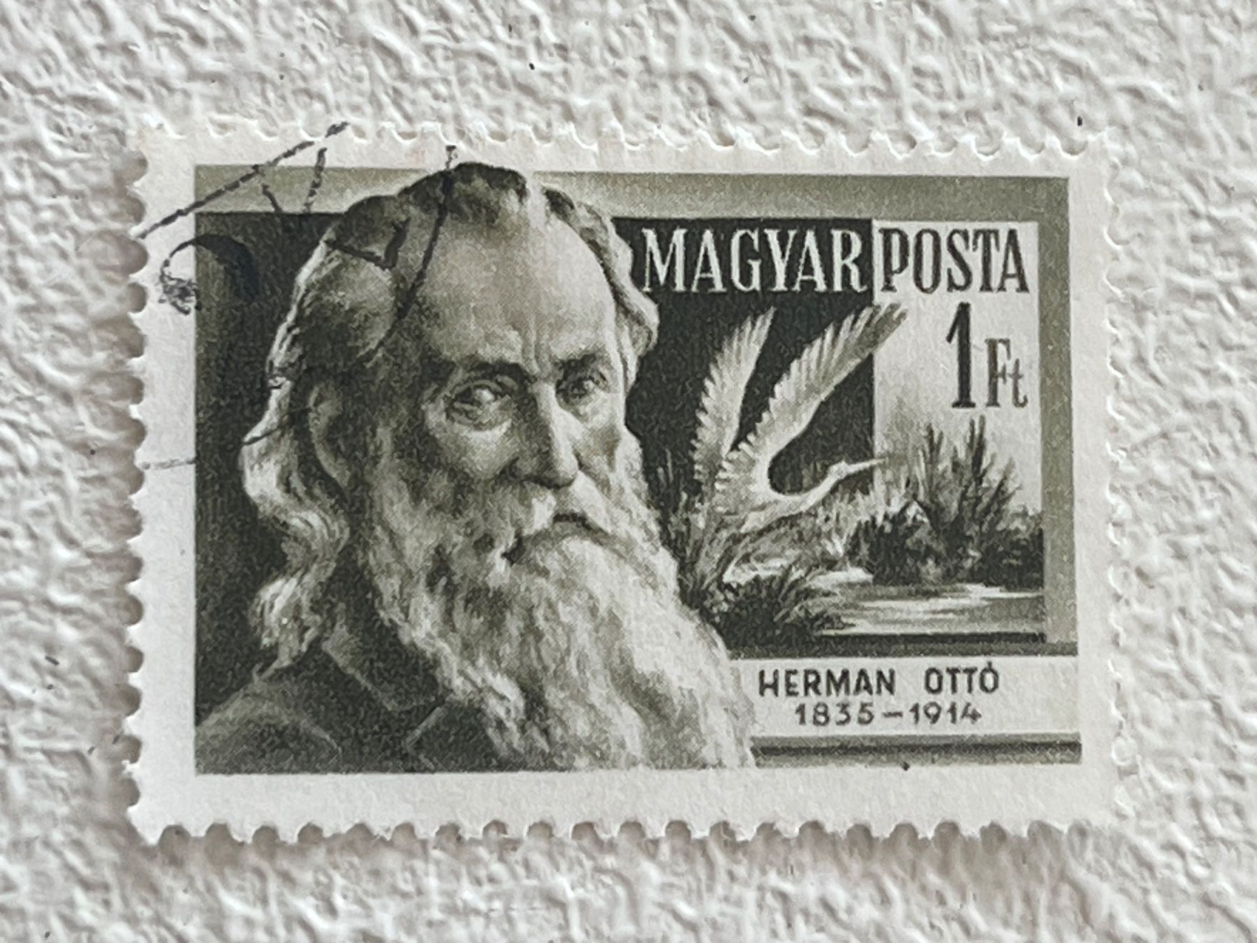 Tutti i francobolli: 🇭🇺 Hungary Briefmarke – Usato da Chiasso venduto da AzenYa